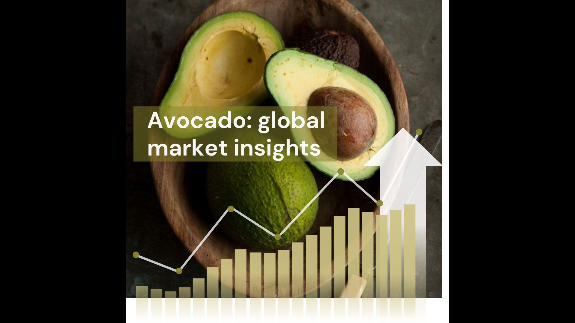 The Avocado Global Market: Trends and Insights (2022-2024)