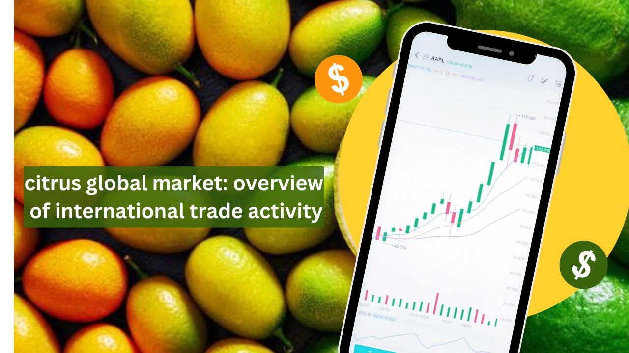 Global citrus market: insights for recent exports and imports activity
