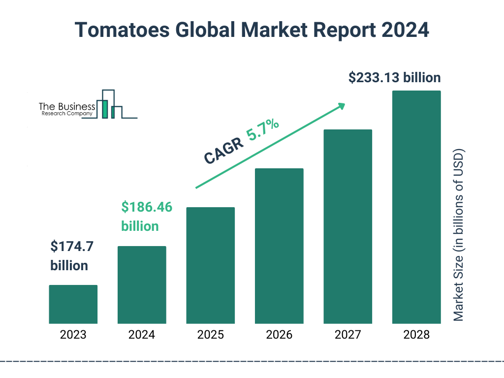 tomato production